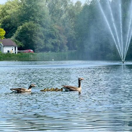 Luxury Kingfisher Lodge, Isis Lake, Within The Cotswold Waterpark Cirencester Ngoại thất bức ảnh