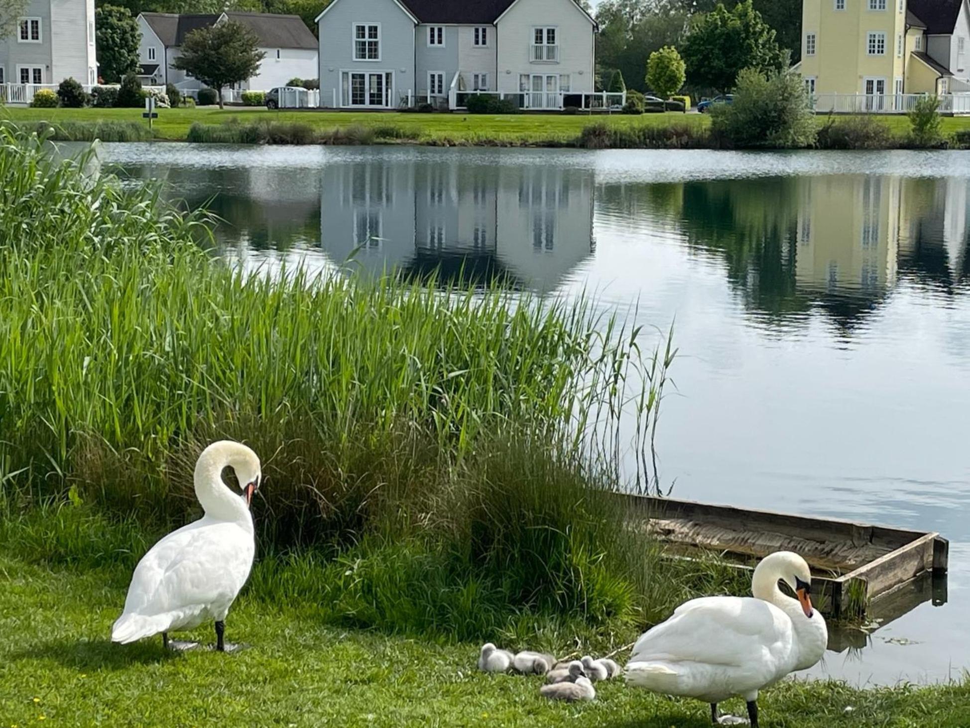 Luxury Kingfisher Lodge, Isis Lake, Within The Cotswold Waterpark Cirencester Ngoại thất bức ảnh